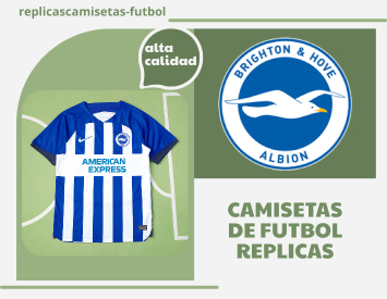 camiseta Brighton & Hove Albion 2023 2024 replica